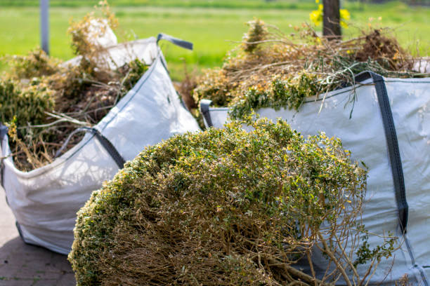 Best Basement Cleanout Services  in Christiansburg, VA